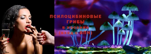Альфа ПВП Аркадак