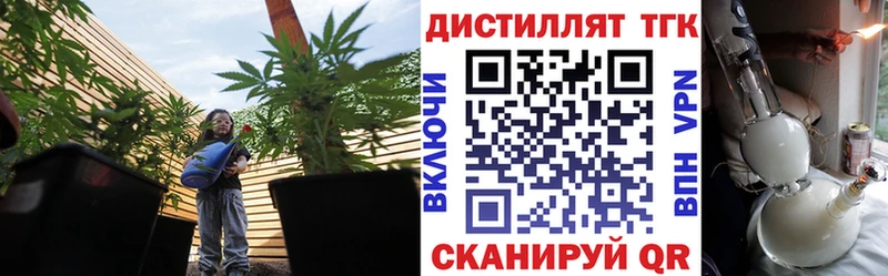 МЕГА как зайти  Приморск  ТГК вейп с тгк 